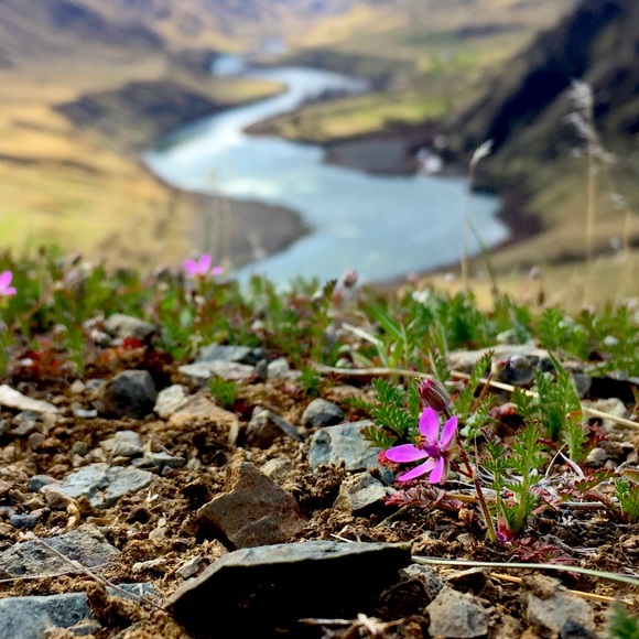 Meet your Posher, Noah - Picture 1 of 1